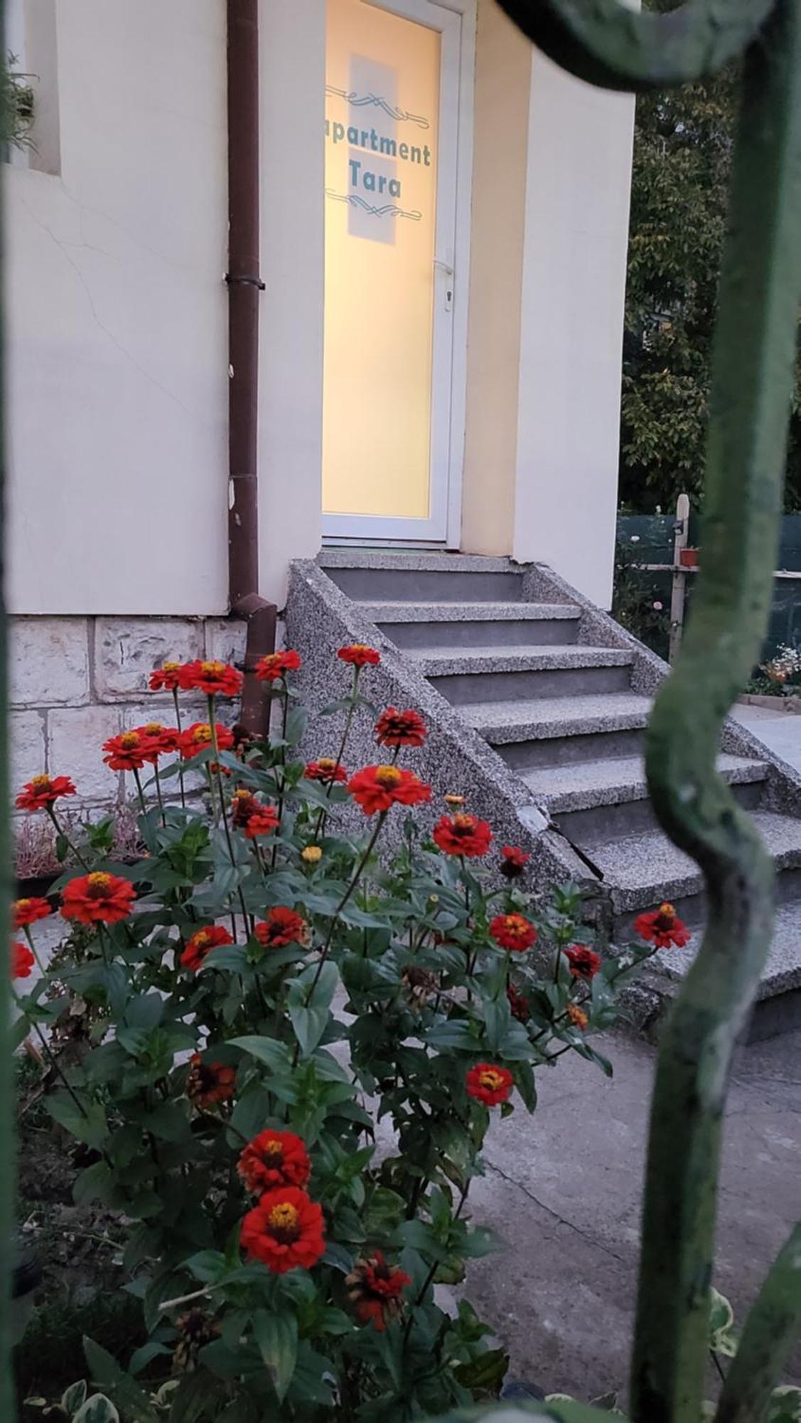 Апартамент За Гости Тара Ruse Exterior foto